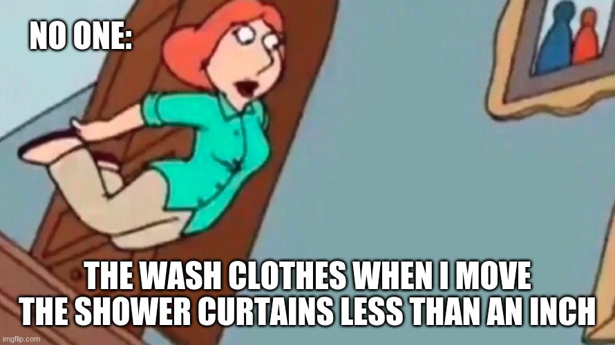 Wash clothes when I move the shower curtain | NO ONE:; THE WASH CLOTHES WHEN I MOVE THE SHOWER CURTAINS LESS THAN AN INCH | image tagged in lois falling down stairs | made w/ Imgflip meme maker