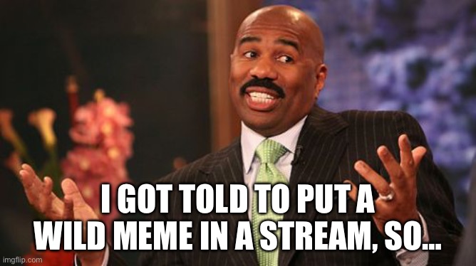 LOL | I GOT TOLD TO PUT A WILD MEME IN A STREAM, SO… | image tagged in memes,steve harvey | made w/ Imgflip meme maker