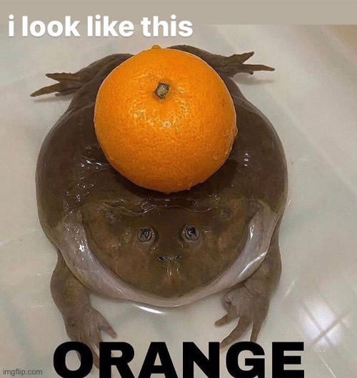 o r a n g e . also gm :D | made w/ Imgflip meme maker