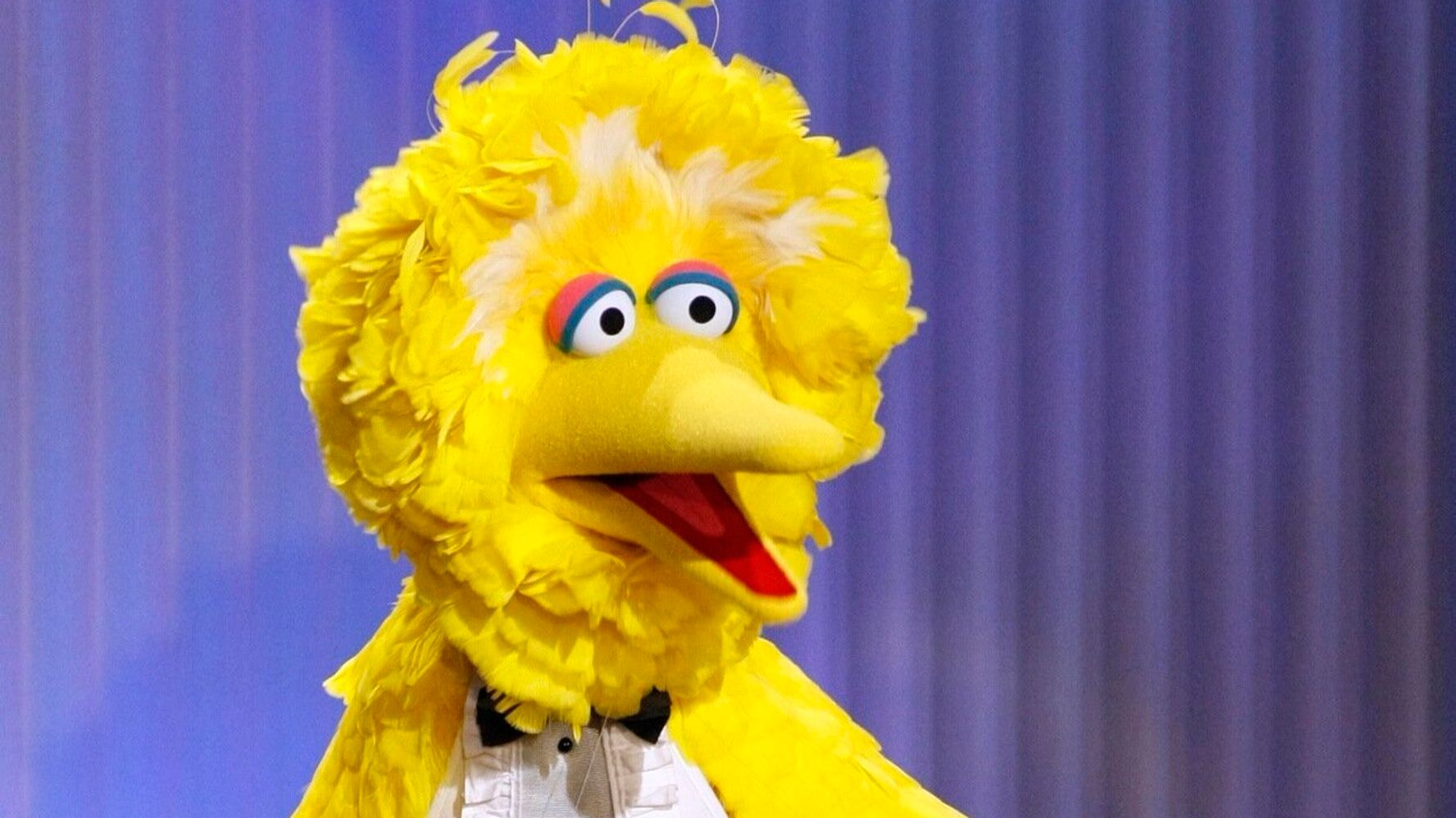 Big Bird Ted Cruz Blank Template - Imgflip