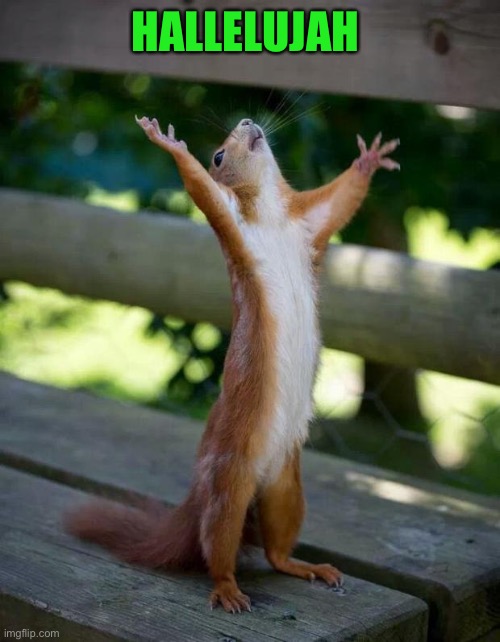 HALLELUJAH | image tagged in happy squirrel | made w/ Imgflip meme maker