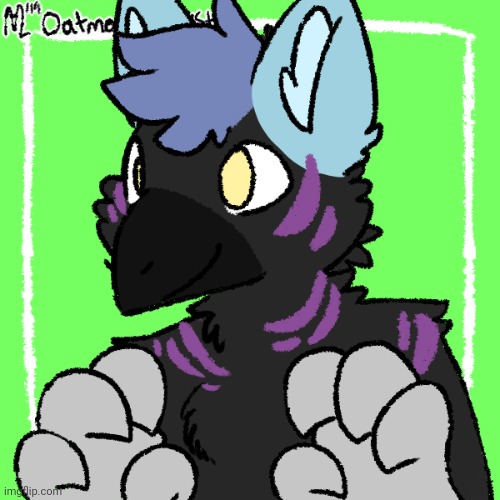 Guys, I think I finally found the fursona right for me. ? | image tagged in raven,wolf,furry,fursona,character,picrew | made w/ Imgflip meme maker