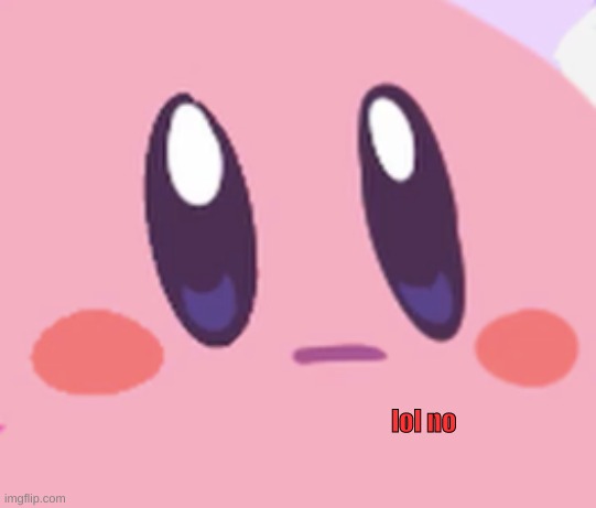 Blank Kirby Face | lol no | image tagged in blank kirby face | made w/ Imgflip meme maker