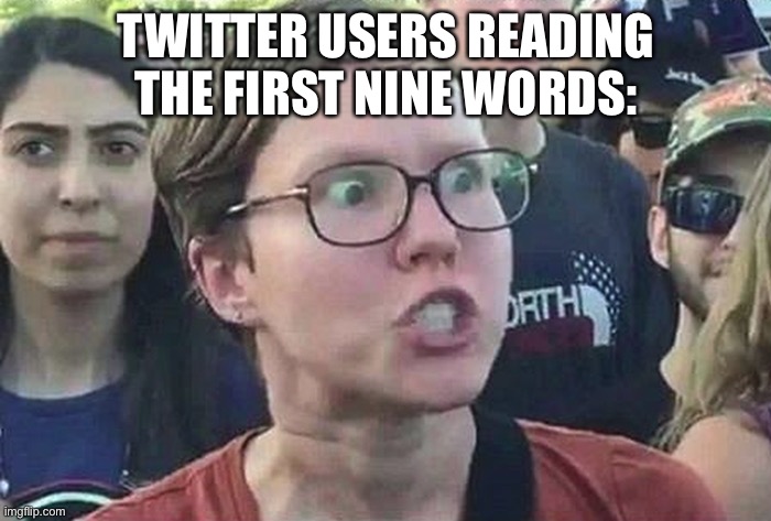 Triggered Liberal | TWITTER USERS READING THE FIRST NINE WORDS: | image tagged in triggered liberal | made w/ Imgflip meme maker