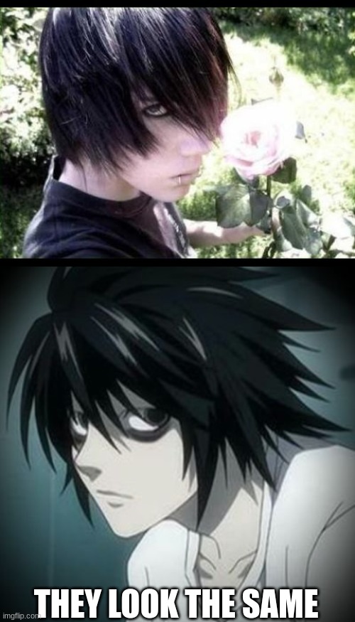 emo cringe | THEY LOOK THE SAME | image tagged in emo cringe | made w/ Imgflip meme maker