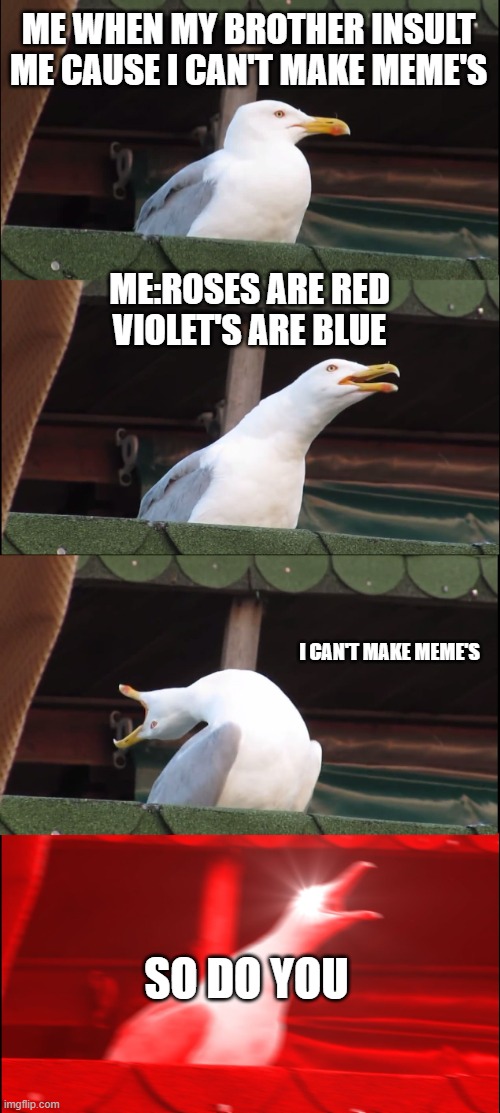 but seriesly i can't make meme's | ME WHEN MY BROTHER INSULT ME CAUSE I CAN'T MAKE MEME'S; ME:ROSES ARE RED
VIOLET'S ARE BLUE; I CAN'T MAKE MEME'S; SO DO YOU | image tagged in memes,inhaling seagull,roast | made w/ Imgflip meme maker