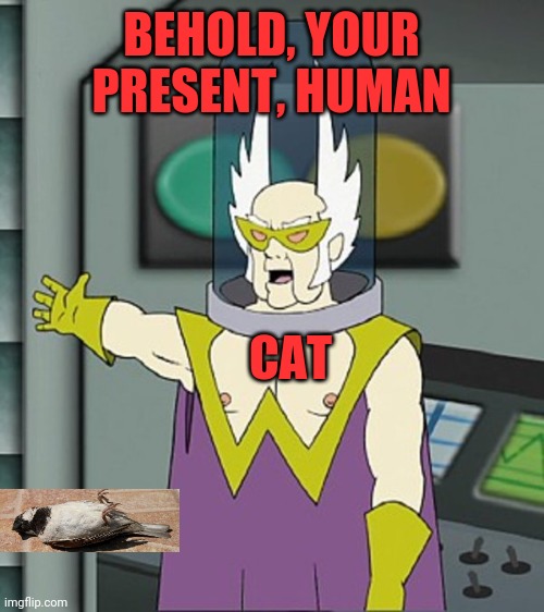 Human.  Behold. | BEHOLD, YOUR PRESENT, HUMAN; CAT | image tagged in gentlemen behold,cat,dead bird,presents,generous,tax write off | made w/ Imgflip meme maker