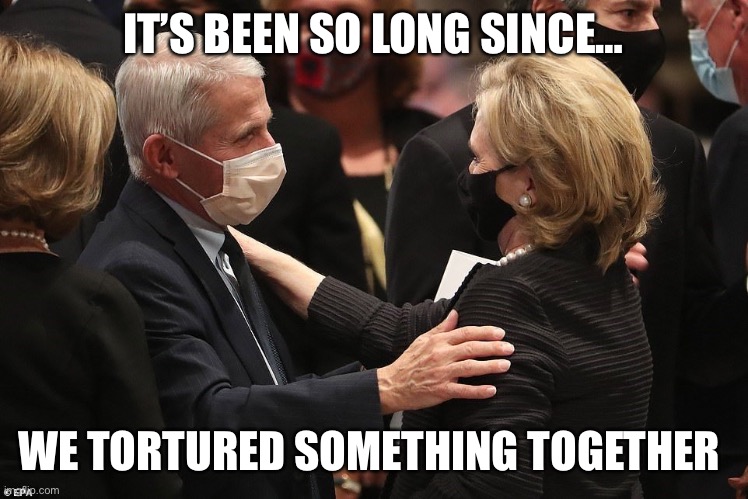 Hillary and Fauci Togetherness | IT’S BEEN SO LONG SINCE…; WE TORTURED SOMETHING TOGETHER | image tagged in hillary and fauci togetherness | made w/ Imgflip meme maker