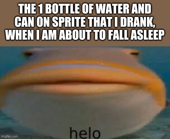 Fish Helo | THE 1 BOTTLE OF WATER AND CAN OF SPRITE THAT I DRANK WHEN I AM ABOUT TO FALL ASLEEP | image tagged in fish helo | made w/ Imgflip meme maker