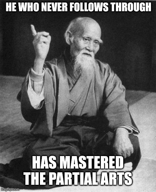 HYAHH | HE WHO NEVER FOLLOWS THROUGH; HAS MASTERED THE PARTIAL ARTS | image tagged in wise master,lol so funny,funny memes | made w/ Imgflip meme maker