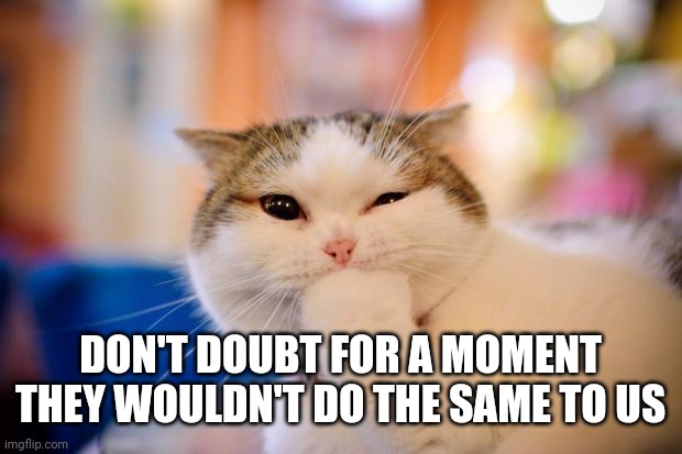 thinking cat | DON'T DOUBT FOR A MOMENT
THEY WOULDN'T DO THE SAME TO US | image tagged in thinking cat | made w/ Imgflip meme maker