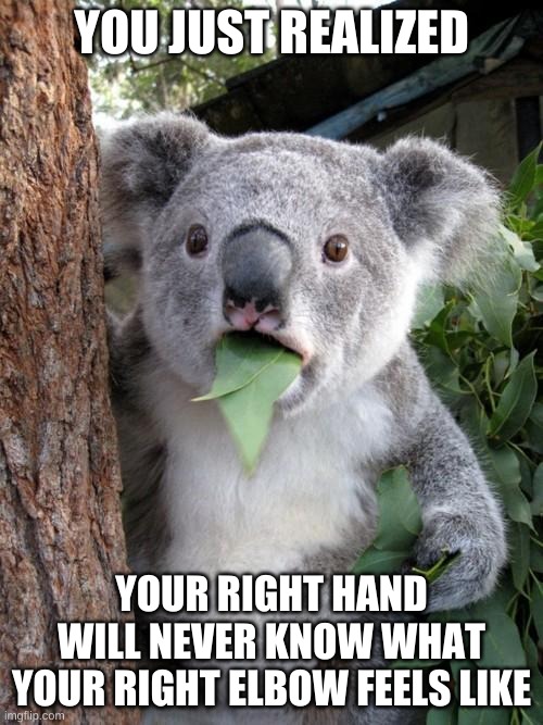 It's true though |  YOU JUST REALIZED; YOUR RIGHT HAND WILL NEVER KNOW WHAT YOUR RIGHT ELBOW FEELS LIKE | image tagged in memes,surprised koala,funny,funny memes,weird | made w/ Imgflip meme maker