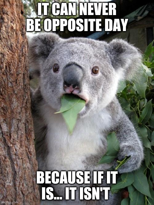 So true |  IT CAN NEVER BE OPPOSITE DAY; BECAUSE IF IT IS... IT ISN'T | image tagged in memes,surprised koala,funny,facts,haha | made w/ Imgflip meme maker