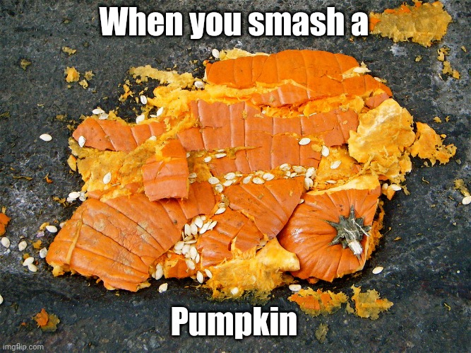 Smashed pumpkin | When you smash a; Pumpkin | image tagged in smashed pumpkin | made w/ Imgflip meme maker