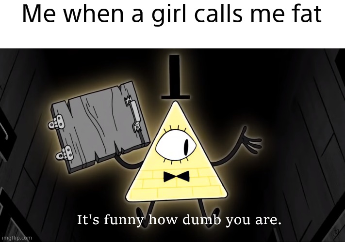 It's Funny How Dumb You Are Bill Cipher | Me when a girl calls me fat | image tagged in it's funny how dumb you are bill cipher,gravity falls | made w/ Imgflip meme maker