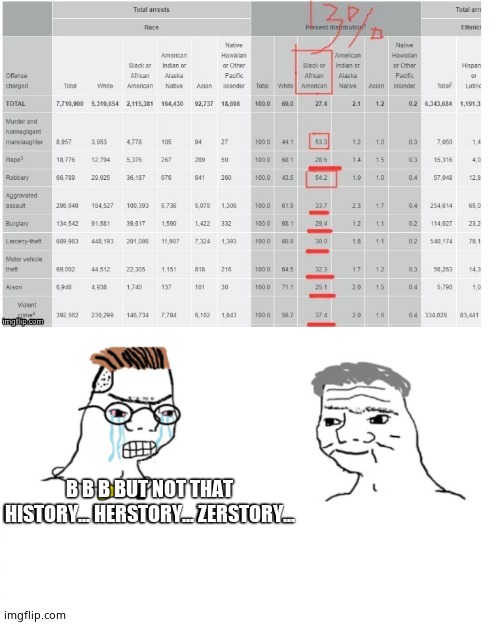 B B B BUT NOT THAT HISTORY... HERSTORY... ZERSTORY... | image tagged in 13,noooo you can't just | made w/ Imgflip meme maker