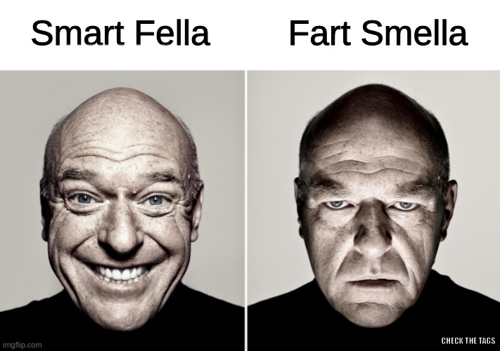 check the bottom right corner | Fart Smella; Smart Fella; NEVER GONNA GIVE YOU UP, NEVER GONNA LET YOU DOWN, NEVER GONNA RUN AROUND AND DESERT YOU; CHECK THE TAGS | image tagged in check,the,description | made w/ Imgflip meme maker