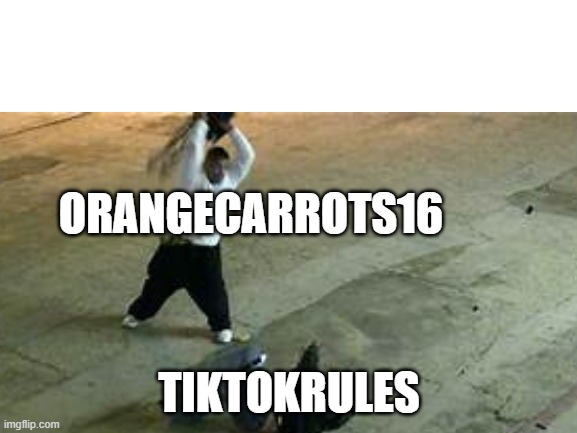 tiktokrules drama be like | ORANGECARROTS16; TIKTOKRULES | image tagged in memes | made w/ Imgflip meme maker