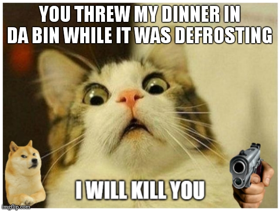 relatible anyone :P | YOU THREW MY DINNER IN DA BIN WHILE IT WAS DEFROSTING | image tagged in cat doge | made w/ Imgflip meme maker