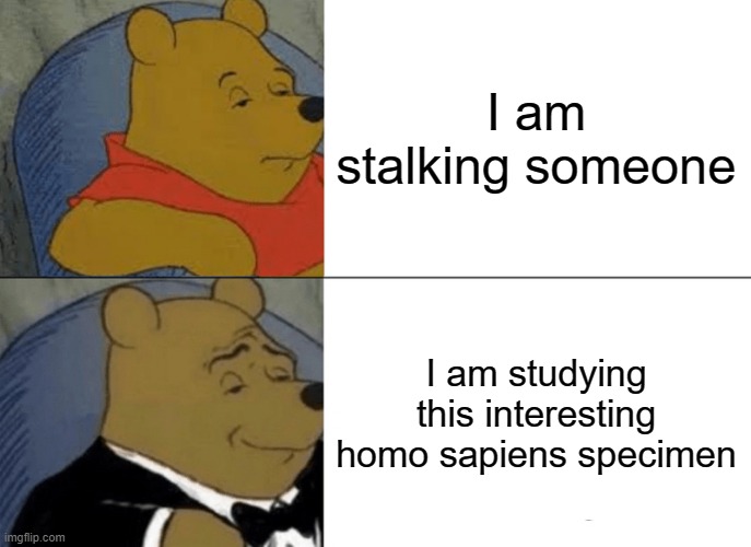 Stalking vs studying | I am stalking someone; I am studying this interesting homo sapiens specimen | image tagged in memes,tuxedo winnie the pooh | made w/ Imgflip meme maker