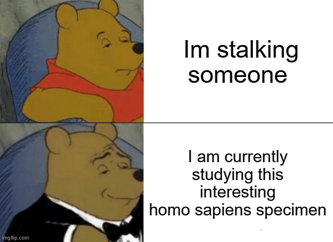 >:3 | Im stalking someone; I am currently studying this interesting homo sapiens specimen | image tagged in memes,tuxedo winnie the pooh,funny,gifs,not really a gif,oh wow are you actually reading these tags | made w/ Imgflip meme maker