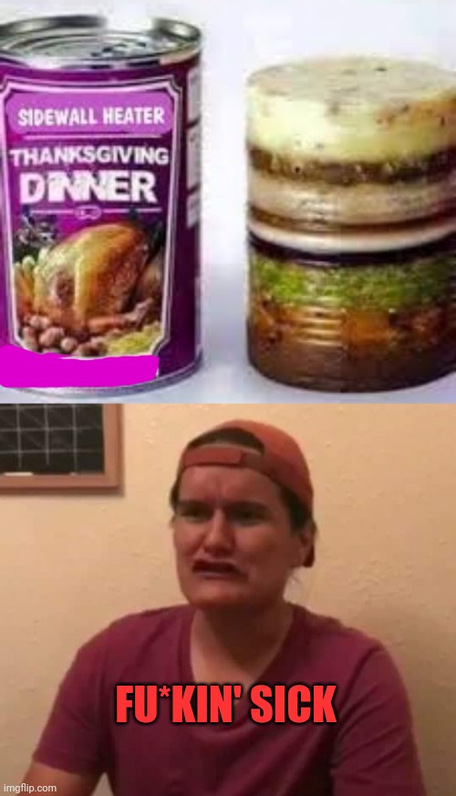 Poor man's Thanksgiving dinner | FU*KIN' SICK | image tagged in f ckin' sick,gross,nope,ill eat mcdonalds | made w/ Imgflip meme maker