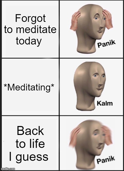 meditation is a must | Forgot to meditate today; *Meditating*; Back to life I guess | image tagged in memes,panik kalm panik | made w/ Imgflip meme maker