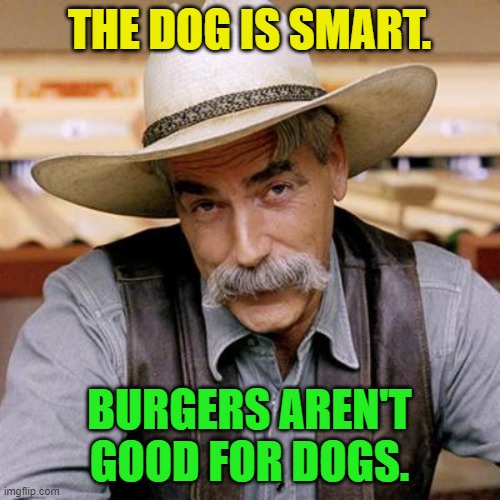 SARCASM COWBOY | THE DOG IS SMART. BURGERS AREN'T GOOD FOR DOGS. | image tagged in sarcasm cowboy | made w/ Imgflip meme maker