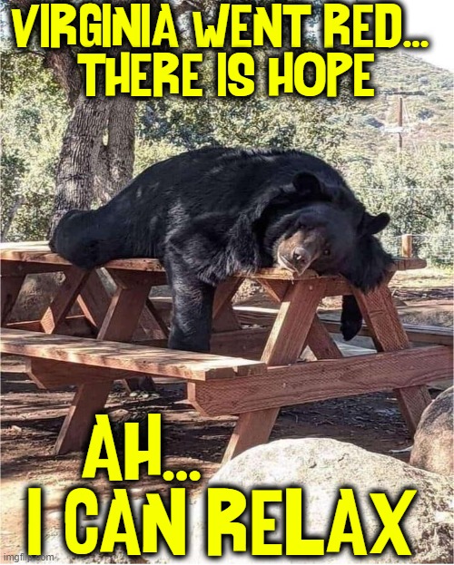This first year of Biden has not been pleasant, but | VIRGINIA WENT RED... 
THERE IS HOPE; AH...        
I CAN RELAX | image tagged in vince vance,bear,relaxing,bear at picnic table,memes,virginia | made w/ Imgflip meme maker