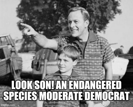 Look Son | LOOK SON! AN ENDANGERED SPECIES MODERATE DEMOCRAT | image tagged in memes,look son | made w/ Imgflip meme maker
