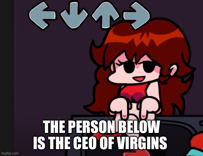 The person below | THE PERSON BELOW IS THE CEO OF VIRGINS | image tagged in the person below | made w/ Imgflip meme maker