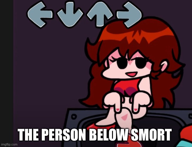 The person below | THE PERSON BELOW SMORT | image tagged in the person below | made w/ Imgflip meme maker