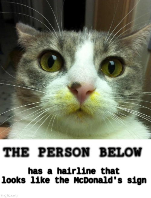 The Person Below Cat | has a hairline that looks like the McDonald's sign | image tagged in the person below cat | made w/ Imgflip meme maker