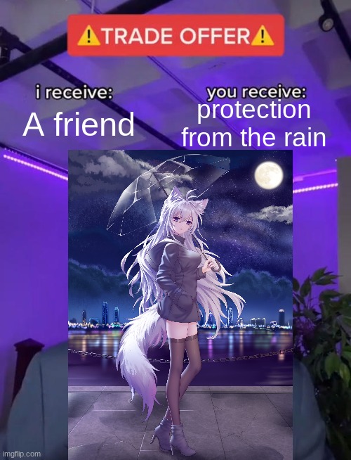 sorry couldn't find a blank template | protection from the rain; A friend | image tagged in memes,trade offer | made w/ Imgflip meme maker