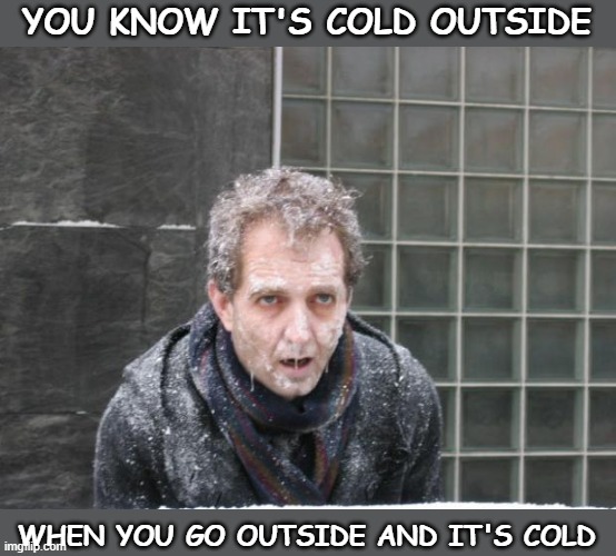 ice, freeze, cold |  YOU KNOW IT'S COLD OUTSIDE; WHEN YOU GO OUTSIDE AND IT'S COLD | image tagged in ice freeze cold,cold,cold weather,freezing cold,snow,freezing | made w/ Imgflip meme maker