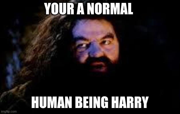 Your a... | YOUR A NORMAL; HUMAN BEING HARRY | image tagged in your a wizard harry | made w/ Imgflip meme maker