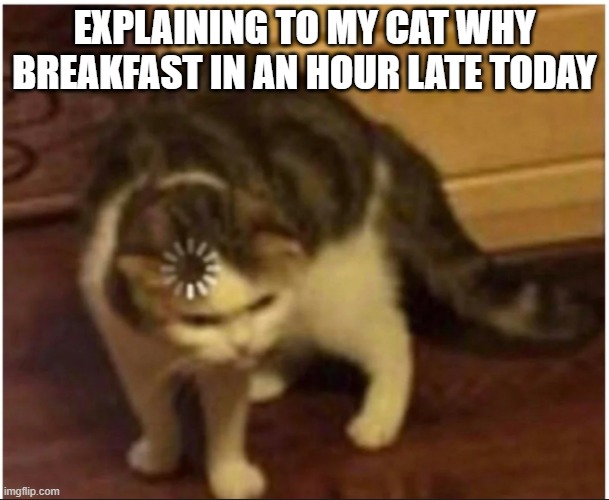 Confused loading cat | EXPLAINING TO MY CAT WHY
BREAKFAST IN AN HOUR LATE TODAY | image tagged in confused loading cat | made w/ Imgflip meme maker