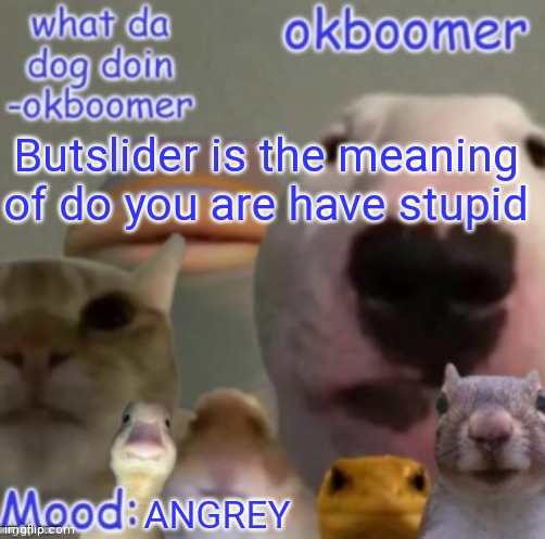 Okboomer template v4 (credit to yeetrex) | Butslider is the meaning of do you are have stupid; ANGREY | image tagged in okboomer template v4 credit to yeetrex | made w/ Imgflip meme maker