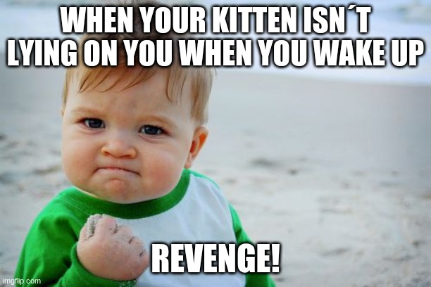 Success Kid Original | WHEN YOUR KITTEN ISN´T LYING ON YOU WHEN YOU WAKE UP; REVENGE! | image tagged in memes,success kid original | made w/ Imgflip meme maker