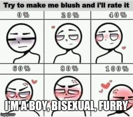 Furries work best on me | I'M A BOY, BISEXUAL, FURRY | image tagged in blush | made w/ Imgflip meme maker