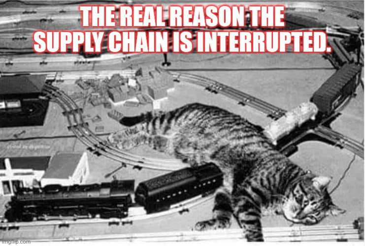 Cats supply chain | THE REAL REASON THE SUPPLY CHAIN IS INTERRUPTED. | image tagged in supply chain | made w/ Imgflip meme maker