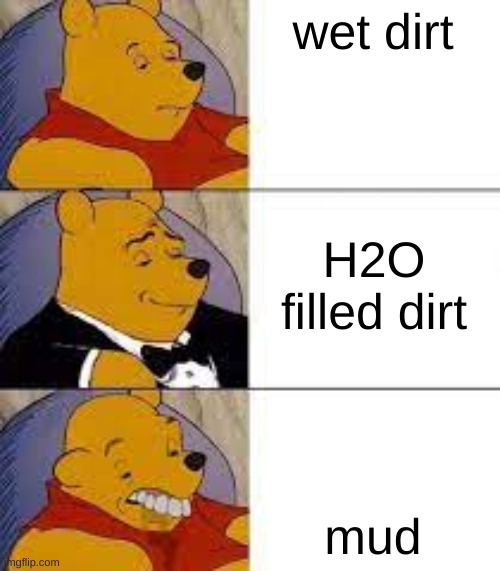 idk why I did this | wet dirt; H2O filled dirt; mud | image tagged in wet dirt,this is pain | made w/ Imgflip meme maker