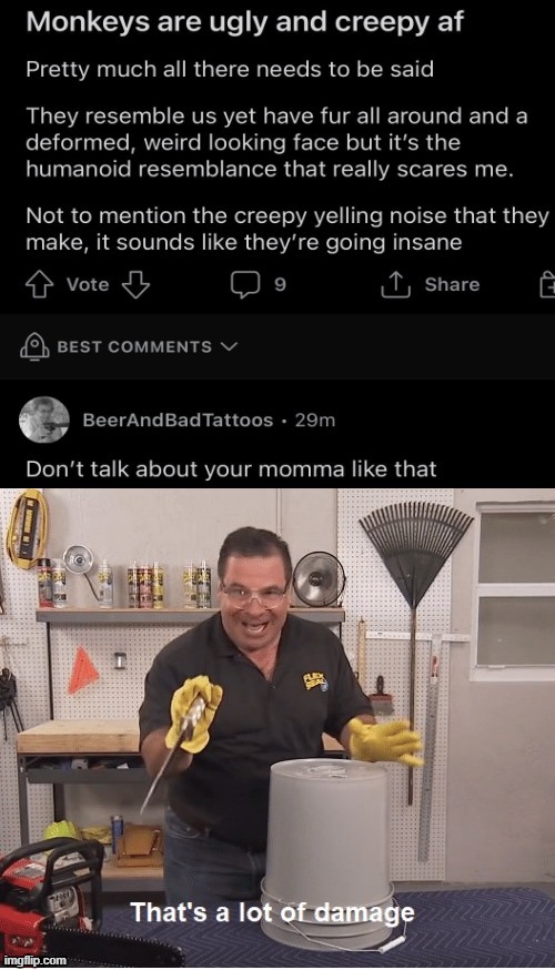 A rare insult | image tagged in rareinsults,fun,funny memes,now that's a lot of damage,phil swift that's a lotta damage flex tape/seal | made w/ Imgflip meme maker