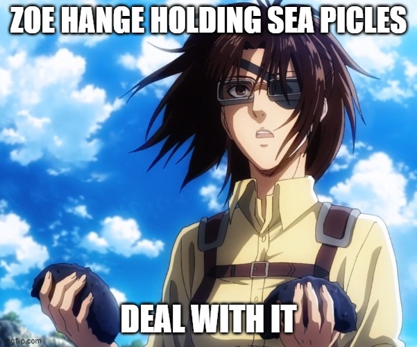 Zoe Hange Holdin sea pickles | ZOE HANGE HOLDING SEA PICLES; DEAL WITH IT | image tagged in aot | made w/ Imgflip meme maker