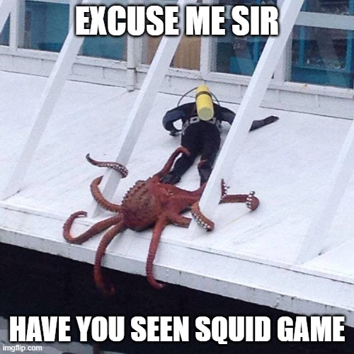 excuse me | EXCUSE ME SIR; HAVE YOU SEEN SQUID GAME | image tagged in octopus | made w/ Imgflip meme maker