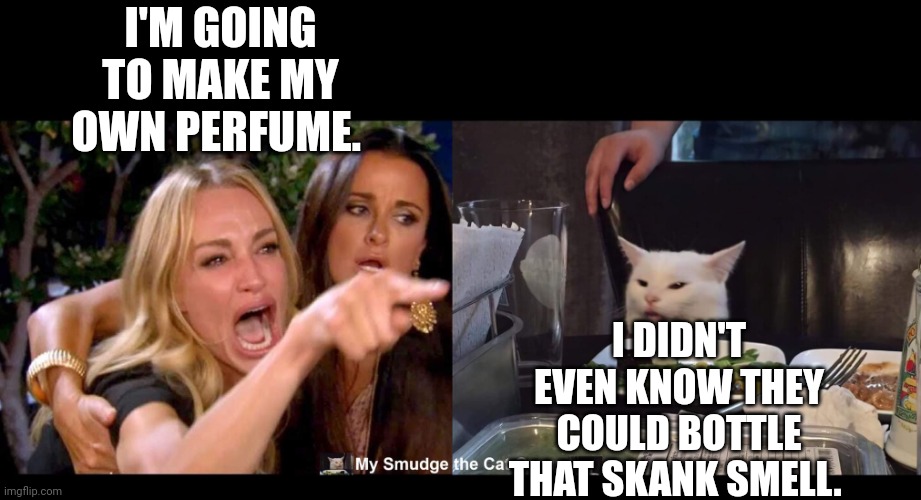 I'M GOING TO MAKE MY OWN PERFUME. I DIDN'T EVEN KNOW THEY COULD BOTTLE THAT SKANK SMELL. | image tagged in smudge the cat | made w/ Imgflip meme maker