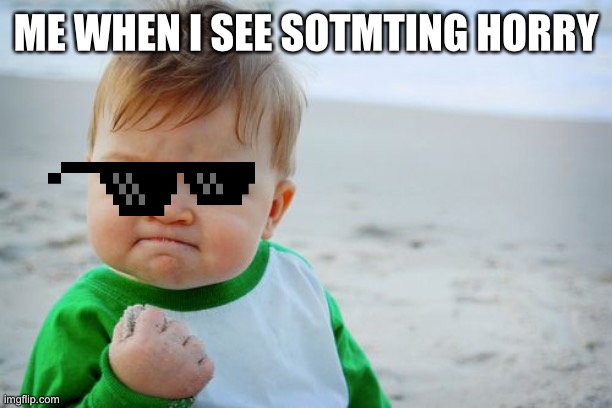 Horry |  ME WHEN I SEE SOTMTING HORRY | image tagged in memes,success kid original | made w/ Imgflip meme maker