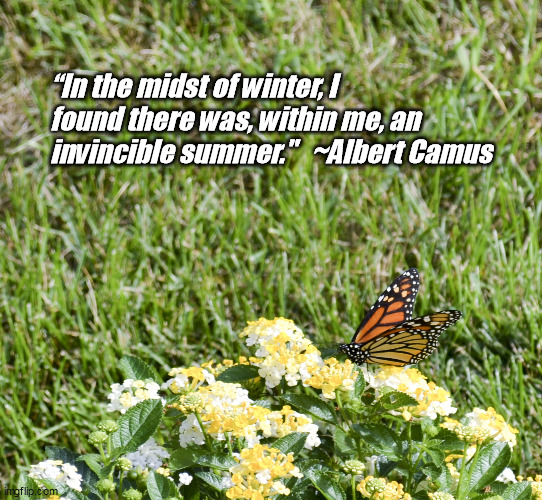 Summer day | “In the midst of winter, I found there was, within me, an invincible summer."   ~Albert Camus | image tagged in summer day,positive thinking,courage | made w/ Imgflip meme maker