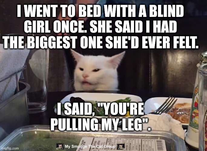 I WENT TO BED WITH A BLIND GIRL ONCE. SHE SAID I HAD THE BIGGEST ONE SHE'D EVER FELT. I SAID, "YOU'RE PULLING MY LEG". | image tagged in smudge the cat | made w/ Imgflip meme maker