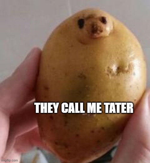 THEY CALL ME TATER | made w/ Imgflip meme maker
